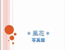 *風花*さんの写真観覧作業用BGM