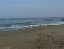 庄内浜で