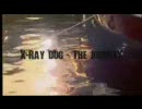 【Xraydog】The Journey