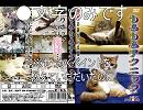 【光男】　前途多難な恋　その２　【速男】