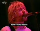 Nirvana - Territorial Pissings