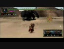 上位ディア亜種2頭の動画を作ってみた その1
