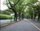 【街乗り】小金井市-府中市を走ってみた【バイク】