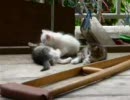 他人の家に勝手に居座ってる奴を晒し上げ