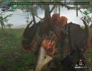 【MHF】パローネキャラバンソロの旅PART20