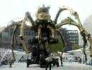 みなとみらいの　蜘蛛
