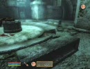 【Oblivion】マフラー蟹江おぶ日記 12