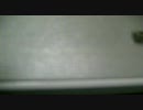 ゆず　「灰皿の上から（サビ）」　歌ってみた
