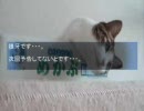 真無限sin-mugen　part2