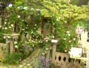 2009国際バラとガーデニングショウ　ガーデン部門大賞