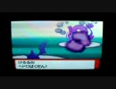 【ポケモン】きままにプレイしてみた～その後の話～VSシロナ戦