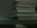 大搜查小姐 3/5
