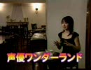 水樹奈々 声優ワンダーランド  奈々の異色声優人生