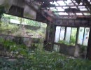 【廃墟】廃幼稚園の中を歩いてみた