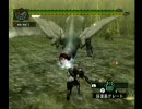 独り身な大剣使いの戦い　Wii版MHG　大剣Ｇ級フルフルソロ後半