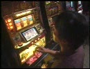 中武一日二膳観察記