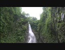 実写映像で画質テスト1　【200Kbps ～ 4000Kbps】