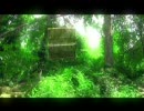 Deerhunter - Green Jacket