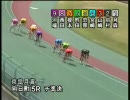 09/05/29競輪95期　河端朋之選手 第11戦　向日町競輪場2日目