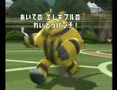 ポケモンバトレボ　ダブル40　いぶき