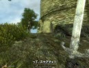 【Oblivion】マフラー蟹江おぶ日記 14(モヤッと版)