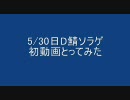 【MoE】　D鯖ソラゲ　初めての動画