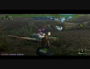 【ＭＨＦ】第２０回韋駄天杯　クック亜種＆ドスランポス　ハンマー部門