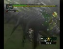 ＭＨＧwii実況プレイ　part2　初めてのリオレウス亜種退治-2