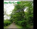 【弾き語ってみた】　May/たいに～まん