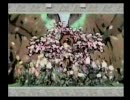 【もっふもふ】わんことお散歩～初めての大神【実況プレイ】07