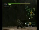 ＭＨＧwii実況プレイ　part3　初めてのリオレウス亜種退治-3