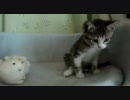お姉ちゃんと一緒♪