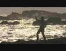 白石稔のハレ晴れユカイ