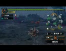 ヘタだが勢いでMHP2Gやってみた part7