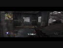 PS3 CoD:WaW MTDM×2(ア○ム)水平2連,M1 Garand