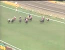 【競馬】日本ダービー、直線の死闘！？ 2/3