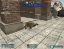 ooo