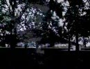 音痴が「celluloid」を歌ってみた。