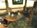 オブリビョン生活16