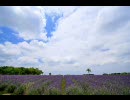 【写真・動画】関西でラベンダーのある風景を探してみた【＋α】