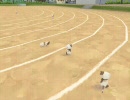 白玉で遊ぼう