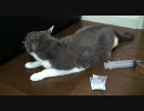 皮下注射　腎臓病に負けるな！