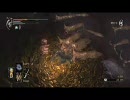【実況】超難度アクションゲー『デモンズソウル』をﾌﾟﾚｲSoul.15