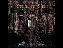 Schwarz Stein - Emergence of silence