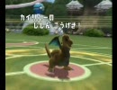 GRAVITY PARTY～ポケモンバトレボ　ランダムダブル5