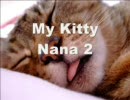 うちのねこ2　My Kitty Nana2