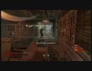 【CoD】Shi No Numaを散歩してみた【WaW】