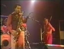 Weather Report   Elegant People