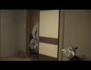 GIRAFFE-MAN SHOCK! キリンマンびっくり