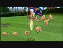 みんなのGOLFポータブル2 フォートレスR 9H 263.5y チップインアルバ